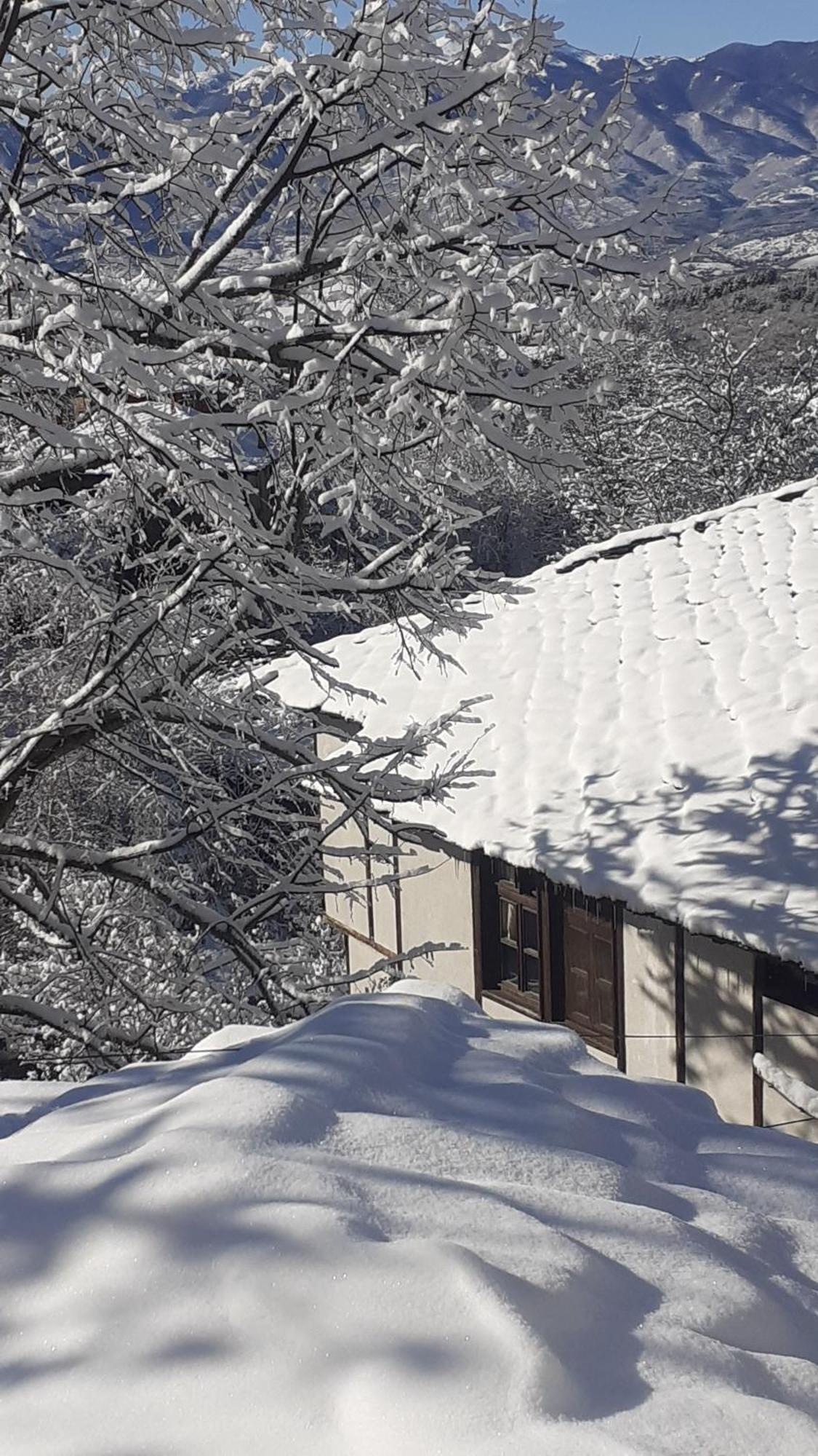 Къща За Гости Близнаците Leshten Esterno foto